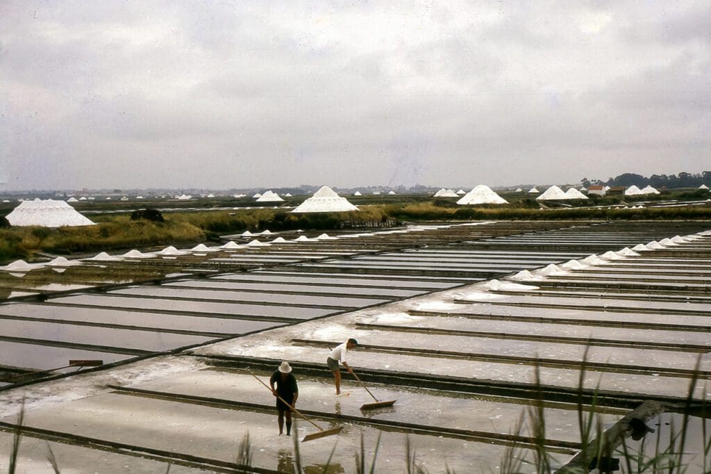 Salinas de Aveiro