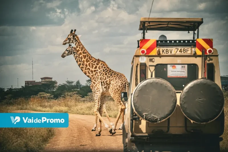 Seguro viagem África: como acionar, coberturas e muito mais!