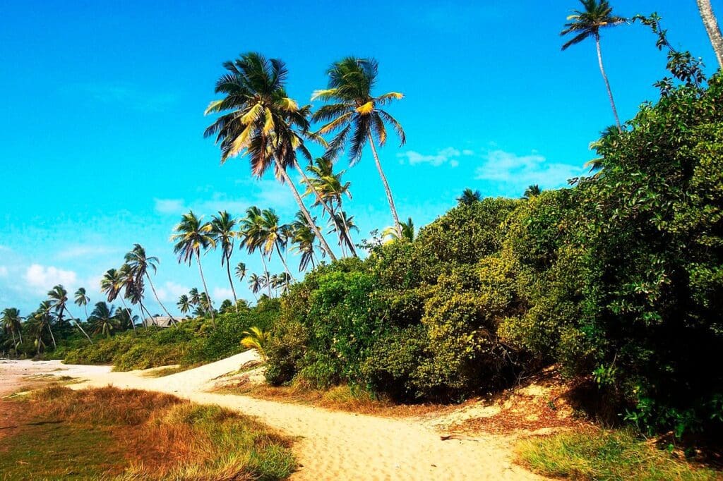 Praias do litoral norte da Bahia