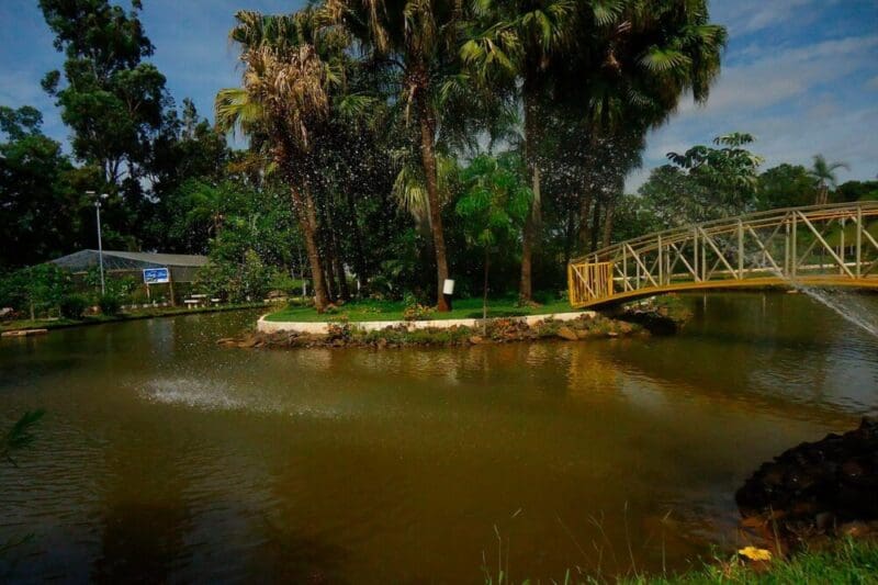 Uberlândia Minas Gerais: descubra o que fazer na cidade!