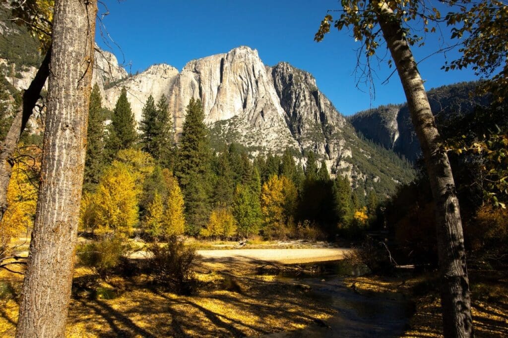 Yosemite National Park