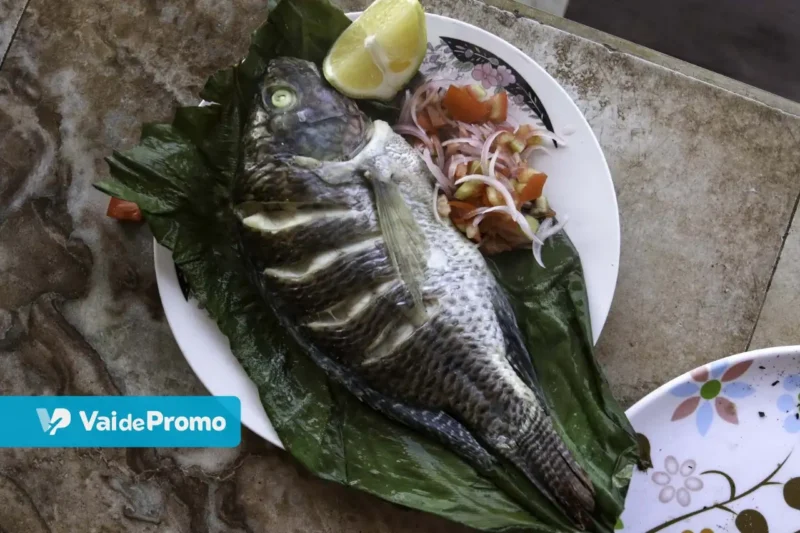 Comidas típicas do Norte: 12 pratos da região para experimentar!