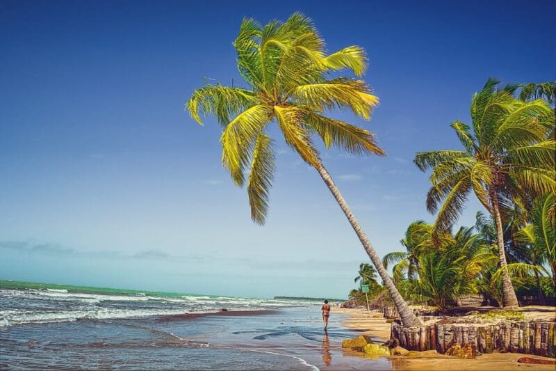 Férias de julho no Nordeste: 17 melhores destinos para aproveitar