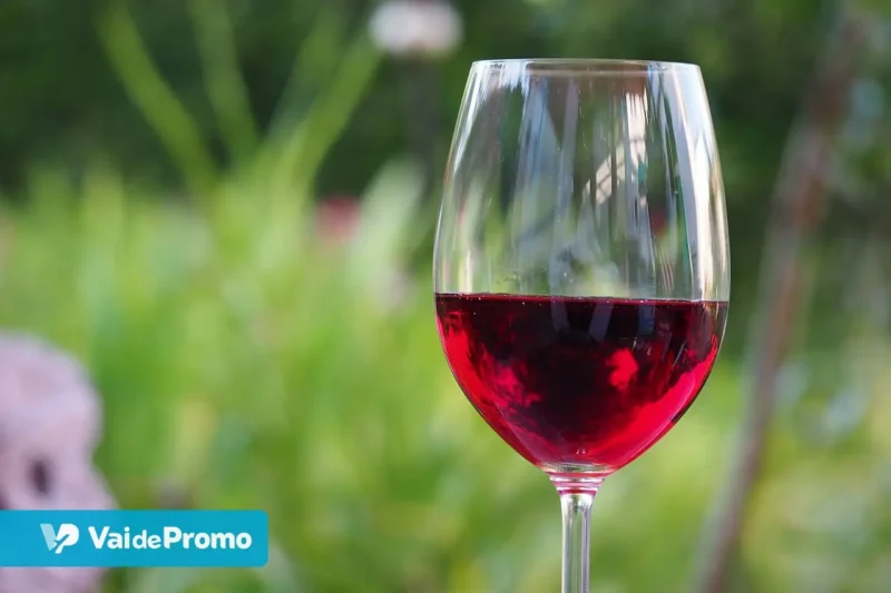 Vinícolas no Chile: conheça as 10 melhores para visitar em 2025!