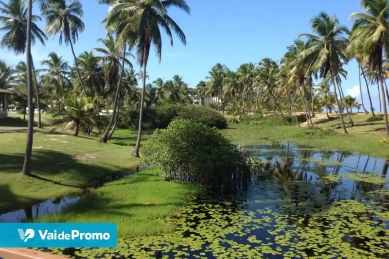 Costa do Sauípe: quais as melhores praias e atrações da região?